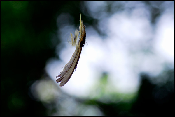 Légère... comme l'air - Catherine Defolie Légère... comme l'air - Catherine Defolie