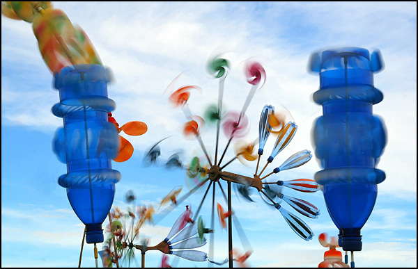 Festival de cerfs volants - Dominique Oliva Festival de cerfs volants - Dominique Oliva