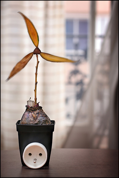 Courant d'air - Alexandre Dubosc Courant d'air - Alexandre Dubosc