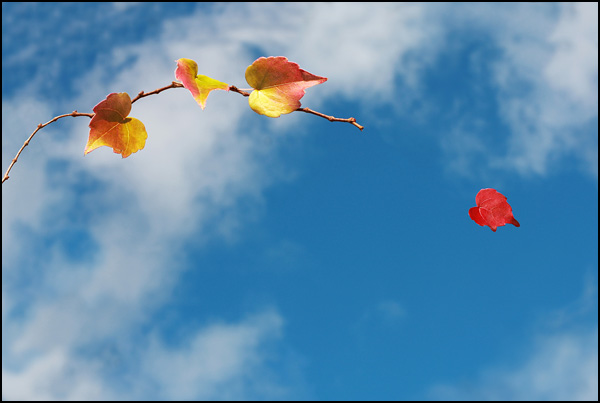 (enfin) libre comme l'air... - Karine Denoyelle (enfin) libre comme l'air... - Karine Denoyelle