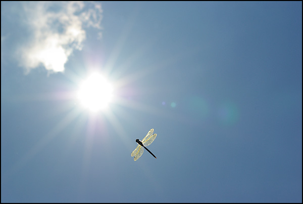 Au zénith - Benoit Metens Au zénith - Benoit Metens