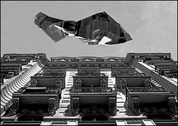 Une Revue Dans le Vent - Denis Cicéro Une Revue Dans le Vent - Denis Cicéro