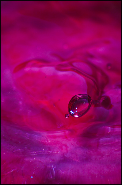 Quid de l'air dans l'eau ou de l'eau dans l'air - Nicolas Potier Quid de l'air dans l'eau ou de l'eau dans l'air - Nicolas Potier