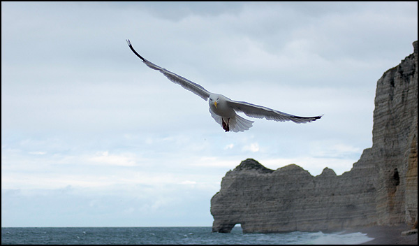 Etretat - Bruno Rybak Etretat - Bruno Rybak