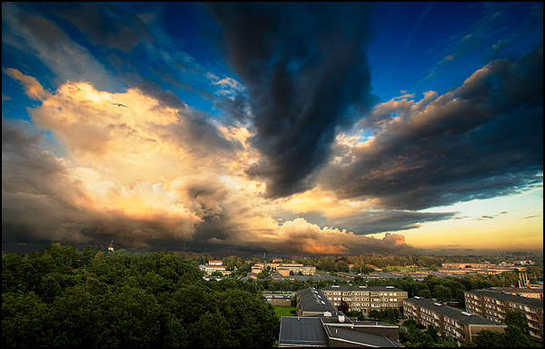 Explosion de couleurs - Alexandre Buisse Explosion de couleurs - Alexandre Buisse
