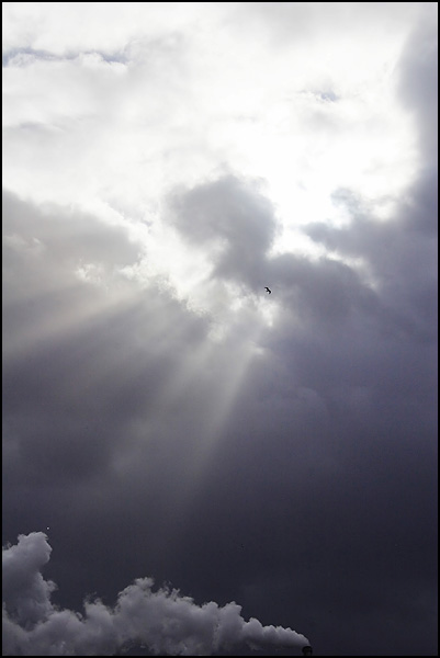 Angel in the sky - Nicolas Grellet Angel in the sky - Nicolas Grellet