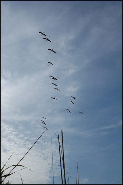 Support-air - Jean-François Arnier Support-air - Jean-François Arnier