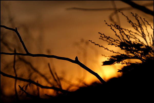 AIR naturel - Justine Rauber AIR naturel - Justine Rauber