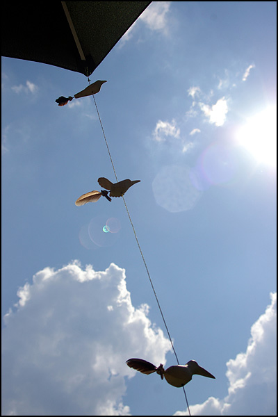 Briser les chaînes - Till Allerheiligen Briser les chaînes - Till Allerheiligen