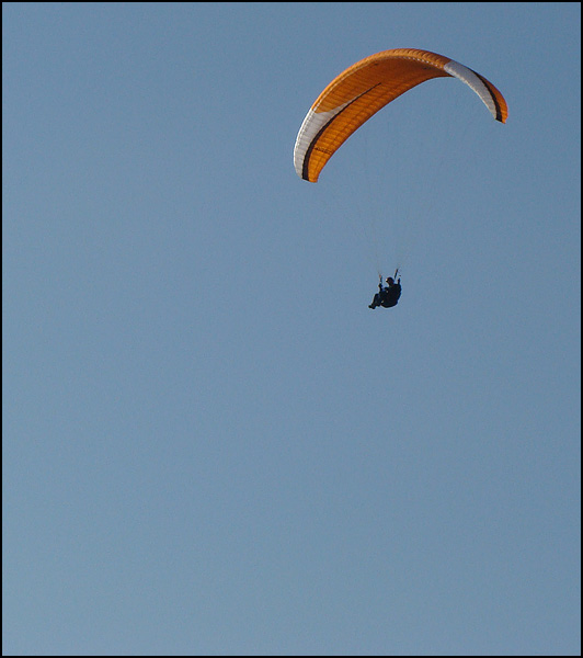Il est libre Max - Nicolas Kosica Il est libre Max - Nicolas Kosica
