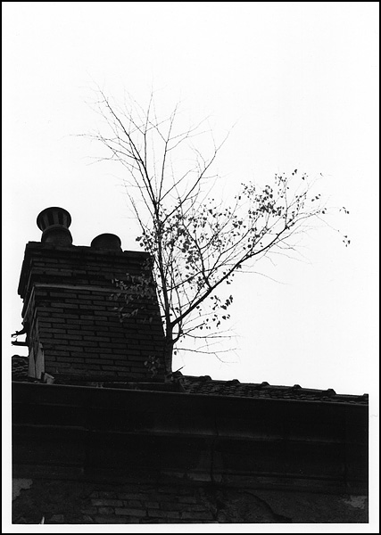 Puits de carbone - Clément Mahé Puits de carbone - Clément Mahé