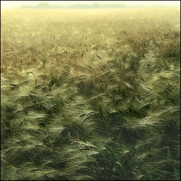 Entends le vent - Marie-Claude Strausz Entends le vent - Marie-Claude Strausz