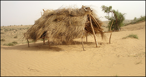 Souffle du Thar - Richard Luc Souffle du Thar - Richard Luc