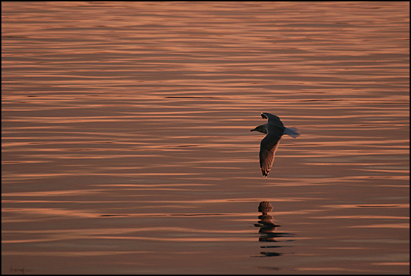 Lumi'Air - Hélène Pouchkine Lumi'Air - Hélène Pouchkine