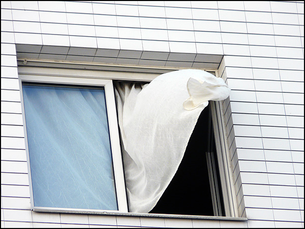Du vent dans les voiles - Sylvie Dorthan Du vent dans les voiles - Sylvie Dorthan