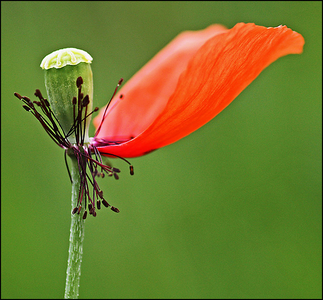 Dernier souffle - Michel Maubourguet Dernier souffle - Michel Maubourguet