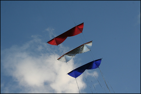 Patrouille tricolore - Nina Lecomte Patrouille tricolore - Nina Lecomte