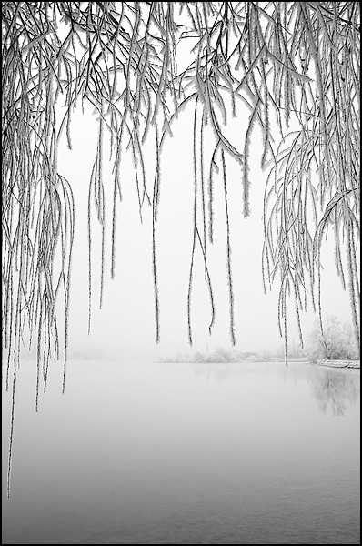 Air Glacial - Vanessa Bureau Air Glacial - Vanessa Bureau