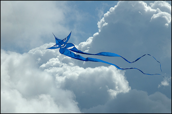 Toujours plus haut - Jean-Pierre Schaefer Toujours plus haut - Jean-Pierre Schaefer