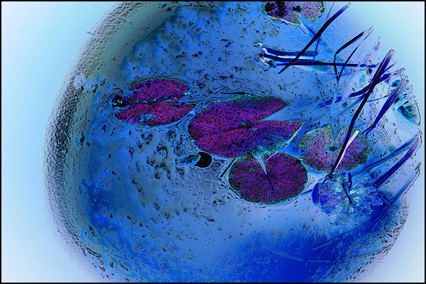 Bulle d'air - Nathalie Hubert Bulle d'air - Nathalie Hubert