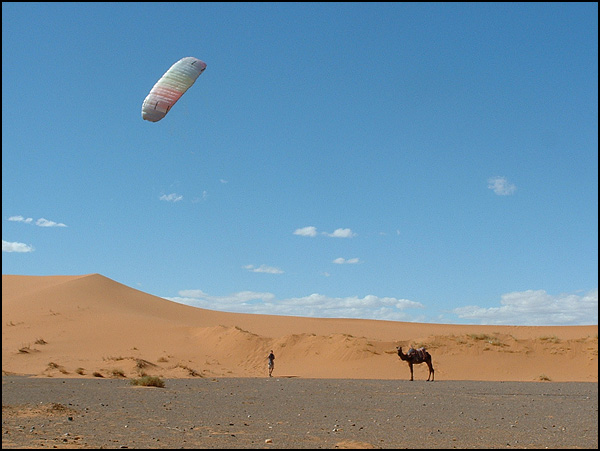 Chameau et cerf-volant - Jean Dupuis Chameau et cerf-volant - Jean Dupuis