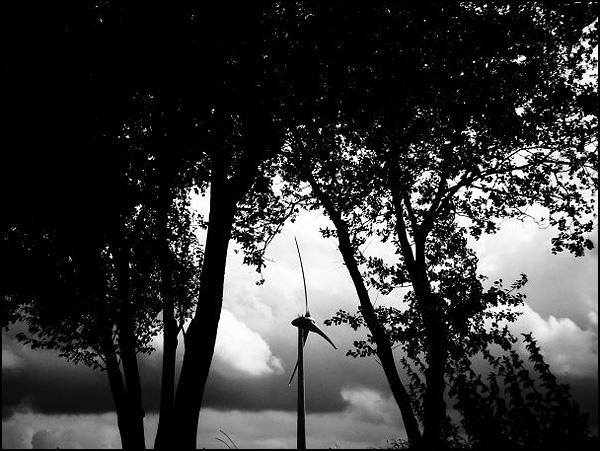L'écologie c'est dans l'air - Virginie Masson L'écologie c'est dans l'air - Virginie Masson