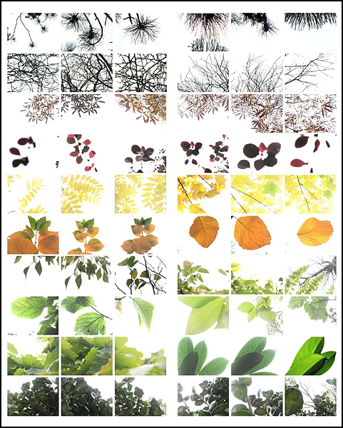 Les racines de l'air - Jean Quemard Les racines de l'air - Jean Quemard