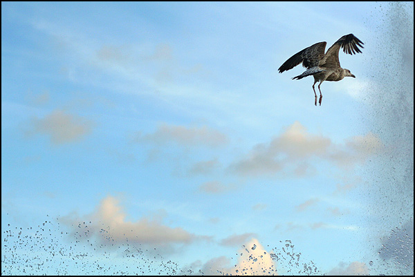 Slalom among clouds - Adela Nistora Slalom among clouds - Adela Nistora