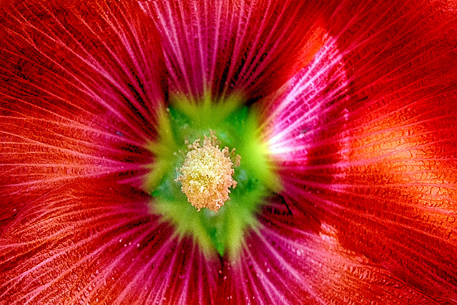 20160927105809_dsc_0001_1 20160927105809_dsc_0001_1