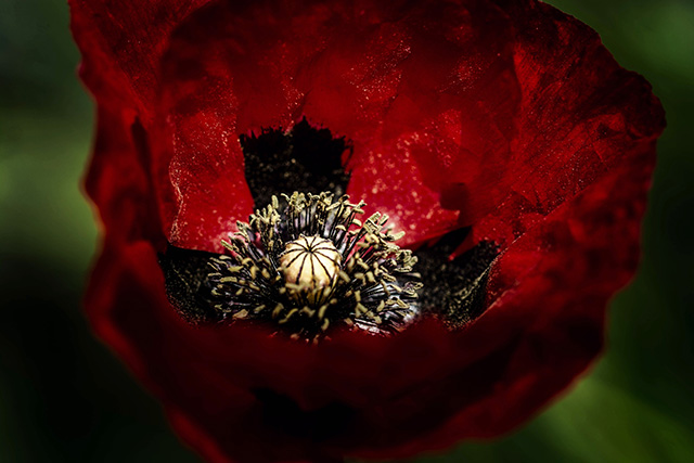 20160927110831_dsc_8352_modifier_1 20160927110831_dsc_8352_modifier_1