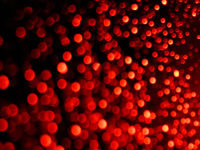 20160927113357__b290672_dxo_copie 20160927113357__b290672_dxo_copie