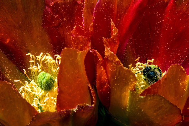 20160927121433_dsc_0007_2 20160927121433_dsc_0007_2