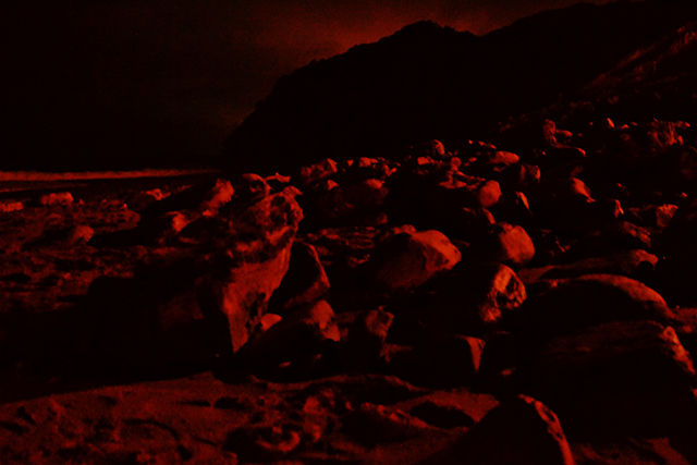 20160927123941_dsc_0238 20160927123941_dsc_0238