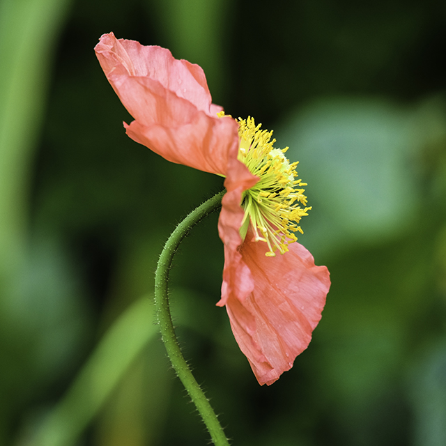 20160927171214_cr_2016_1141 20160927171214_cr_2016_1141