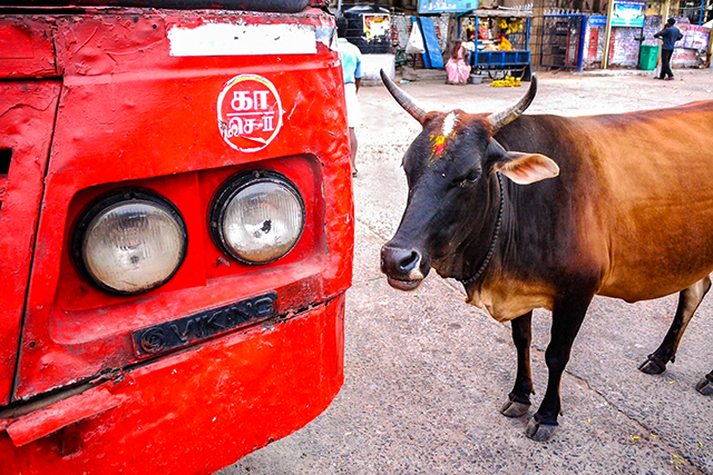 20160927173320_p1020730_20160927_40x60_300dpi_srgb 20160927173320_p1020730_20160927_40x60_300dpi_srgb