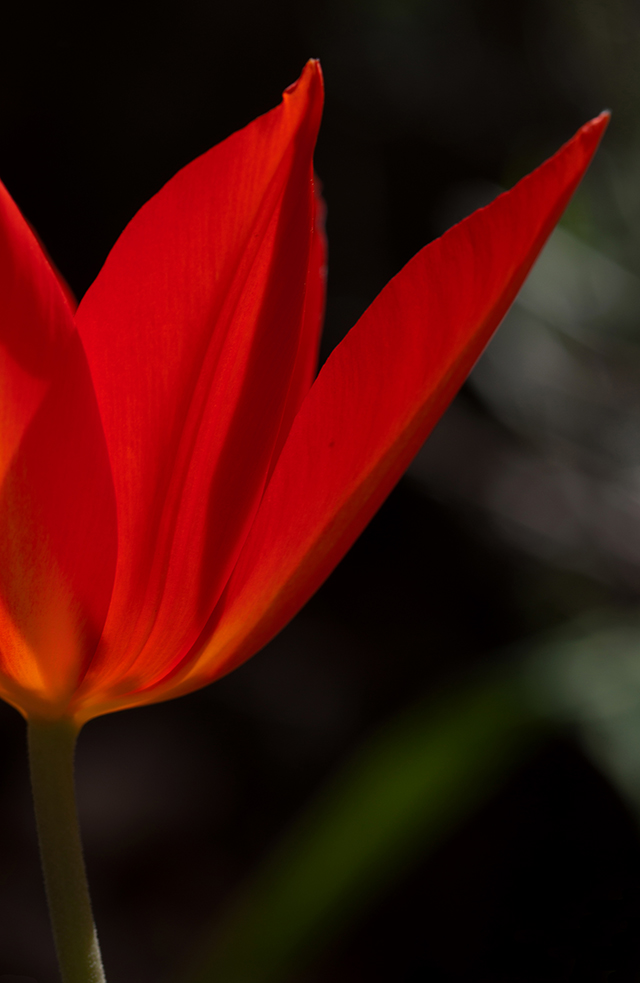 20160927213848_img_2207 20160927213848_img_2207