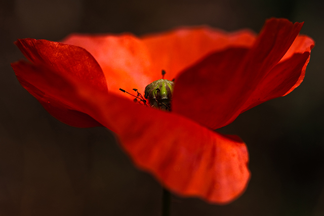 20160927214252_img_5024_2 20160927214252_img_5024_2