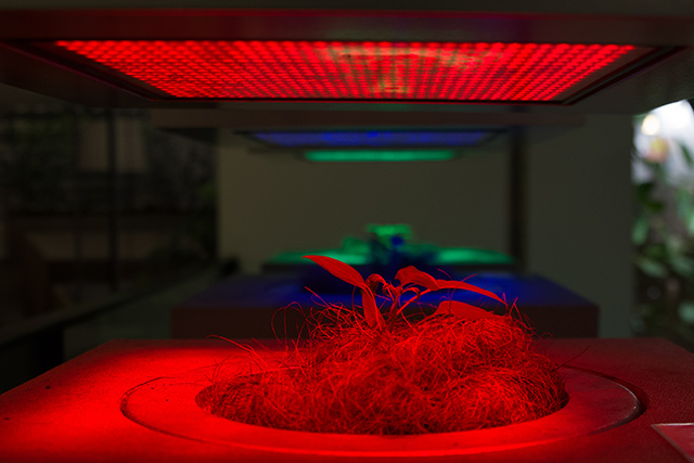 20160927104744_29818135661_19c19da778_o 20160927104744_29818135661_19c19da778_o