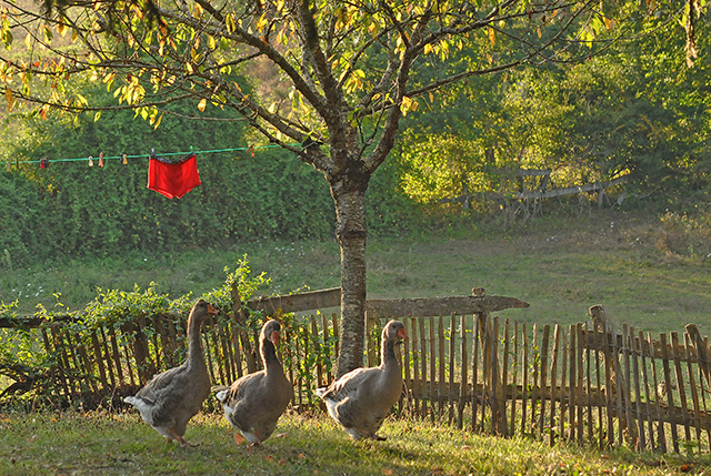 20160927105755_a42 20160927105755_a42