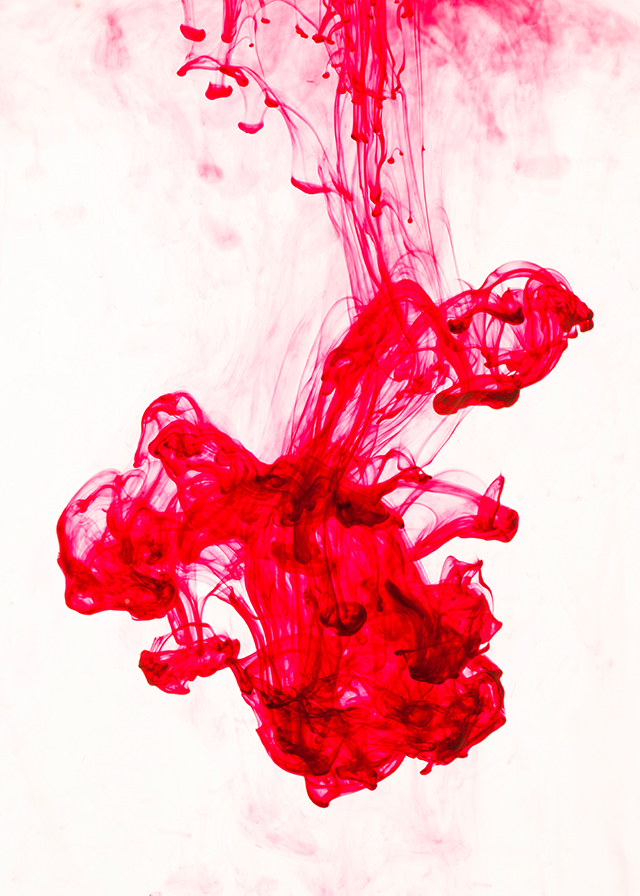 20160927121100_flamenco__a2 20160927121100_flamenco__a2