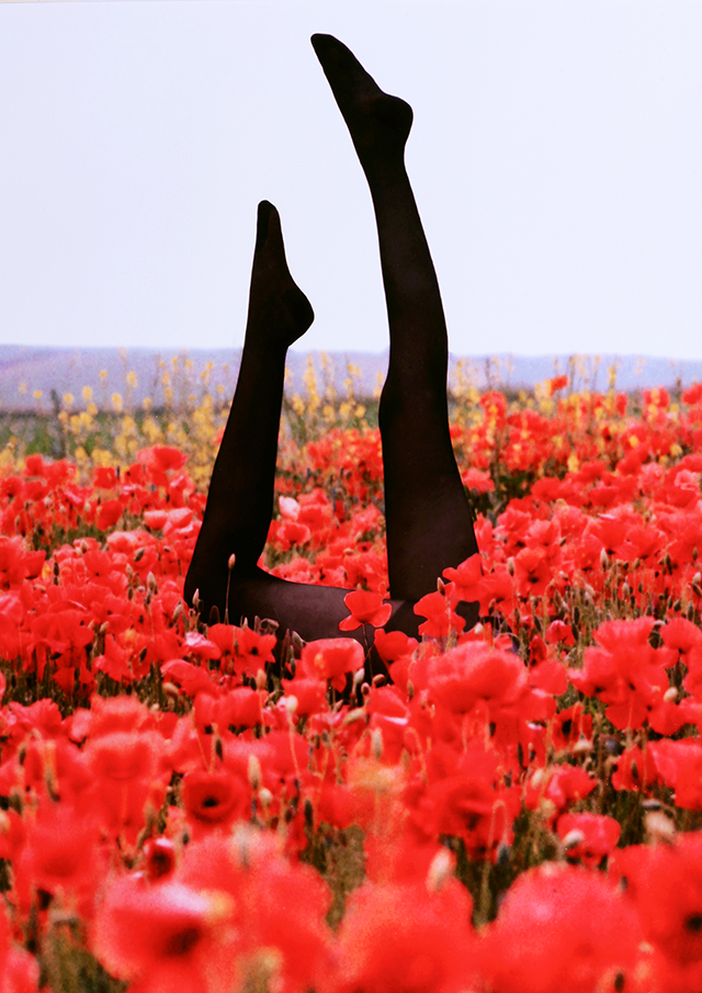 20160927121320_coquelicots_a2 20160927121320_coquelicots_a2