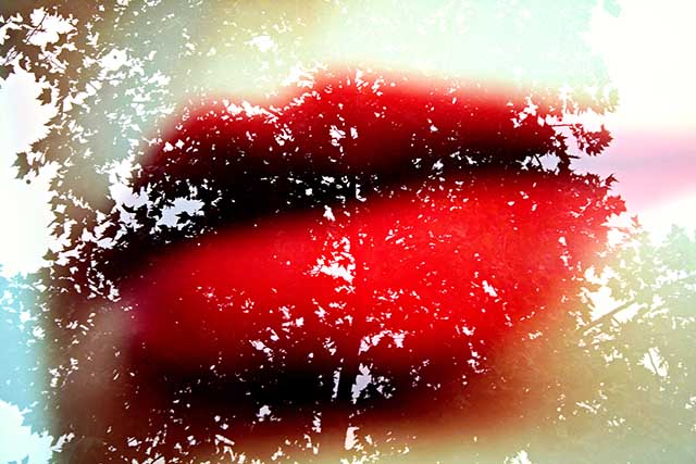 20160927210801_img_1605 20160927210801_img_1605