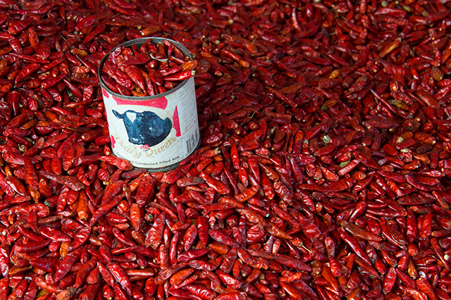 20160927161232_dsc_2490 20160927161232_dsc_2490