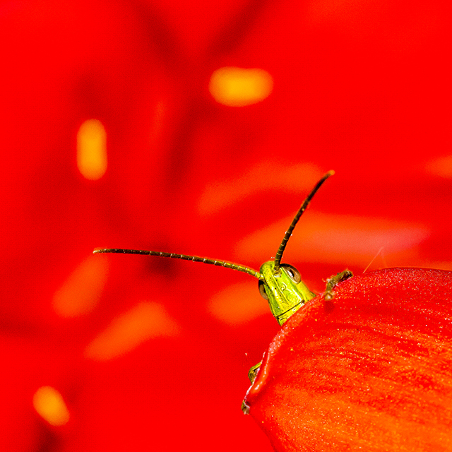 20160927205158_616_1731 20160927205158_616_1731