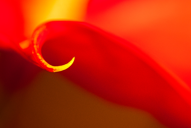 20160927211549_pna_5633 20160927211549_pna_5633