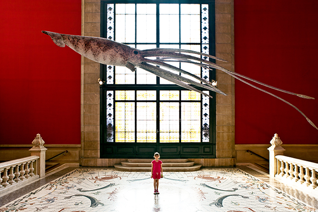 20160927102402_img_1594 20160927102402_img_1594