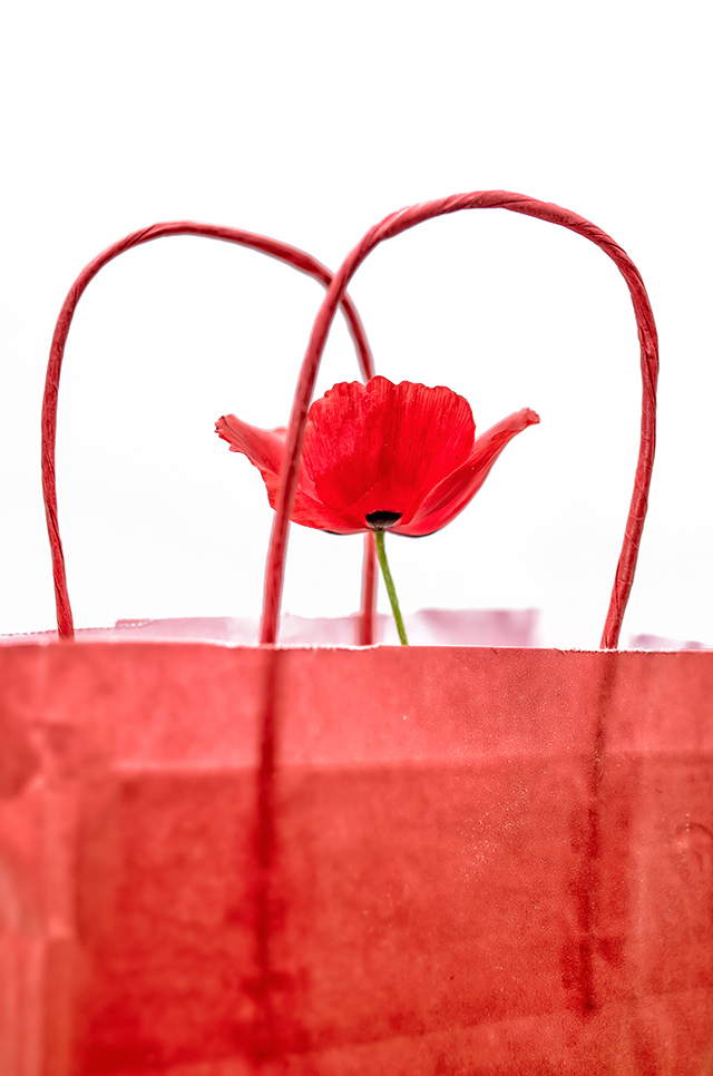 20160927233711_jef19752_modifier 20160927233711_jef19752_modifier