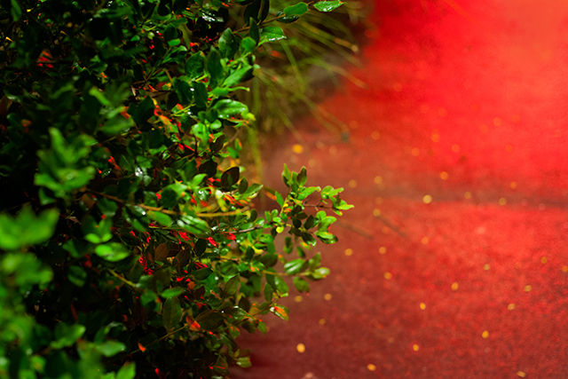 20160928122253_rouges_baisers__1_ 20160928122253_rouges_baisers__1_