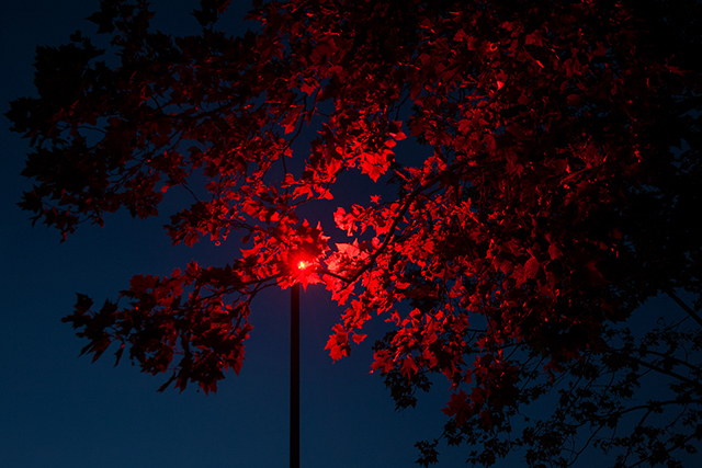 20160928122411_fusion 20160928122411_fusion