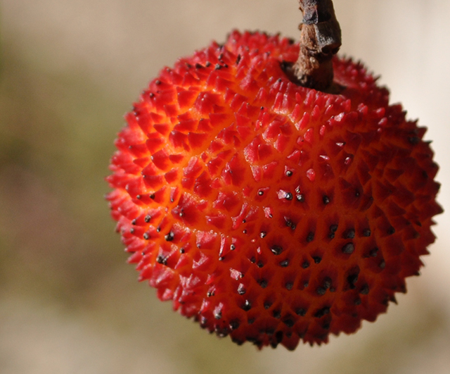 20160928135741_dsc_0038 20160928135741_dsc_0038